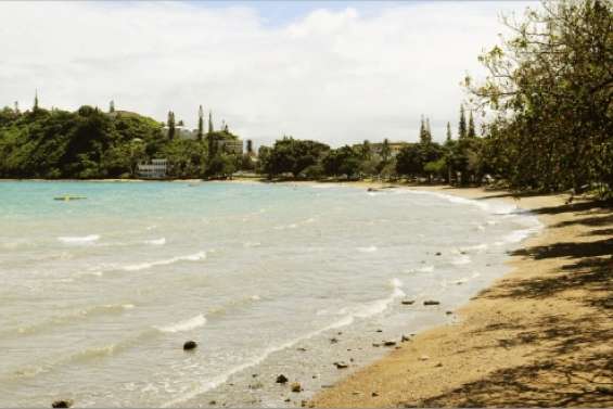 Vers d'autres combats