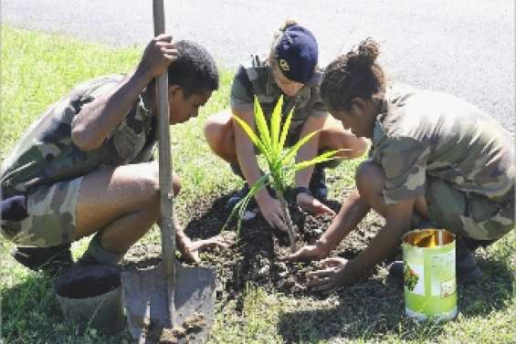 Le départ des jeunes pousses