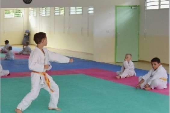 Les tatamis reprennent vie