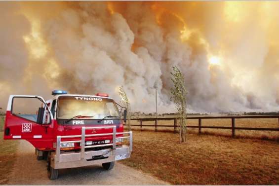 Les Australiens chez les kiwis ?