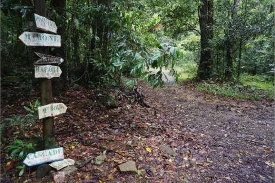 L'avenir des Koghi incertain