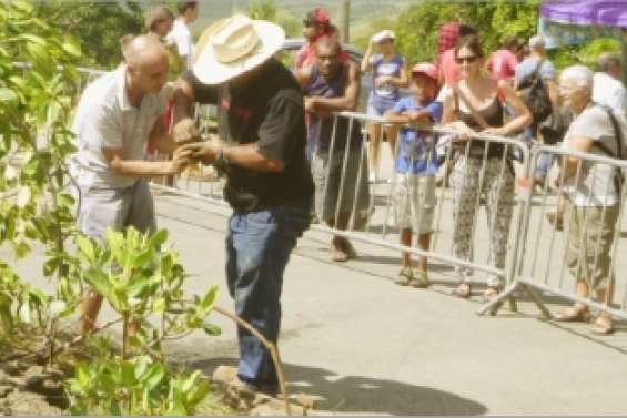 Ruée sur les crabes