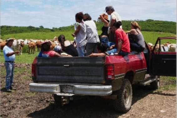 Plongées dans le monde agricole