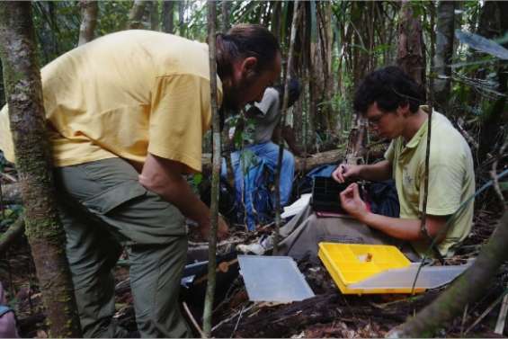 Ils en ont sous le chapeau