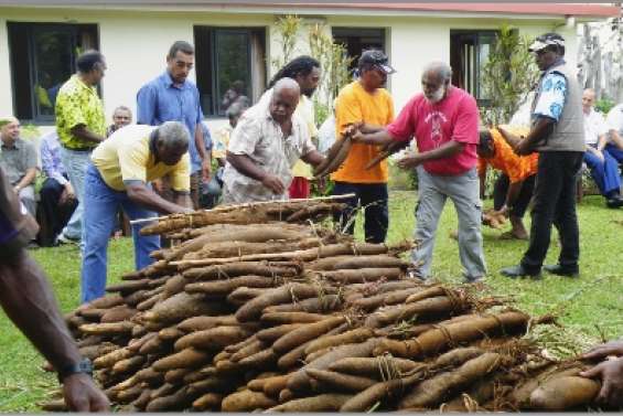 Les ignames de  la Saint-Joseph