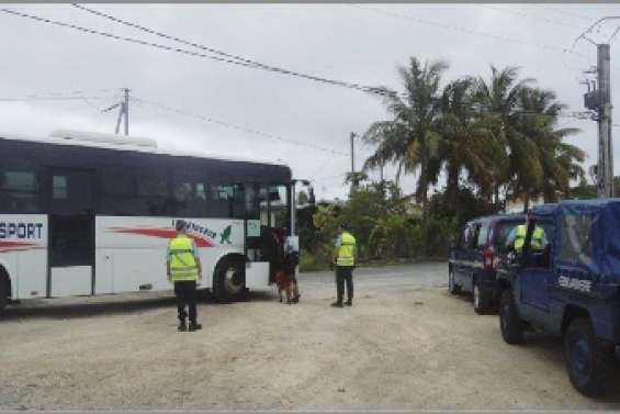 En lutte contre le cannabis