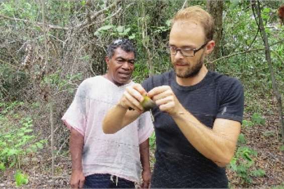 Les oiseaux auscultés