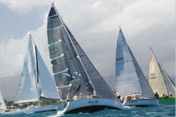 Dans un bon vent frais