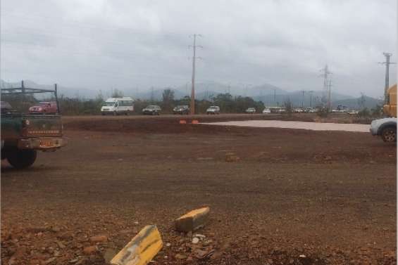 Nouvel escargot à Goro