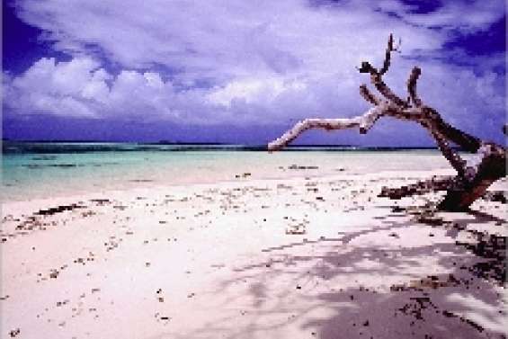 L'Australie boude le Dialogue de Carthagène