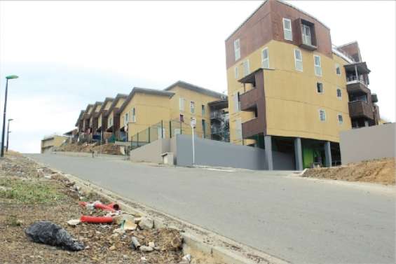 Cyathéas prend la mouche