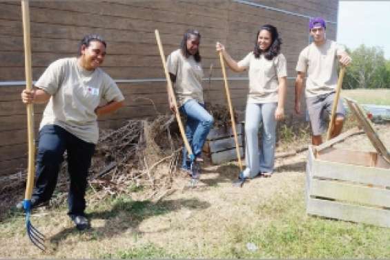 Le compost au porte-à-porte