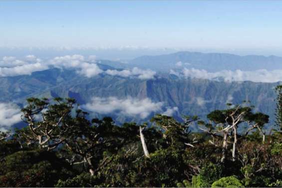 Une mortalité inquiétante