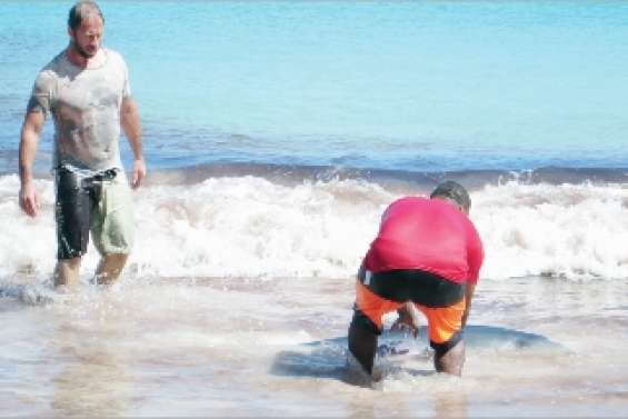 Un cétacé secouru en baie de Kuto