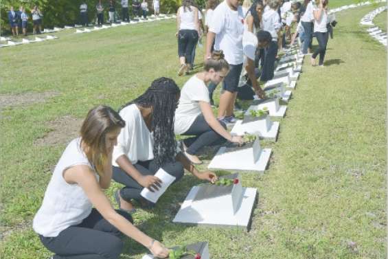 246 roses en souvenir