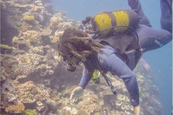 Jardiniers de la mer
