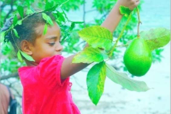 L'avocat ne fait pas le pont