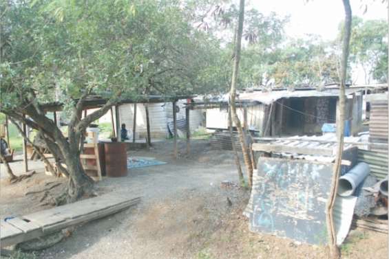 Un squat qui fait débat