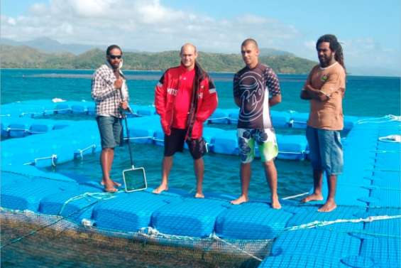 Des pouattes choyés