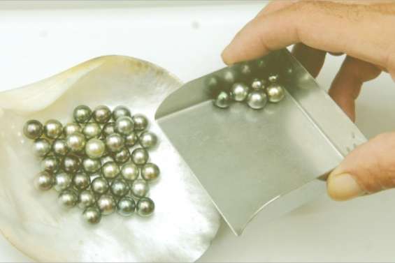 Coup de déprime sur la perle