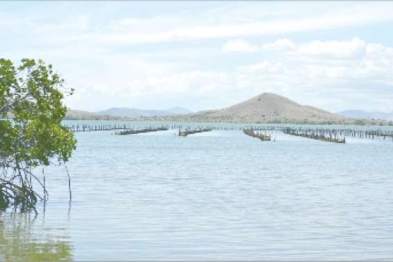 Un artisanat mis à mal