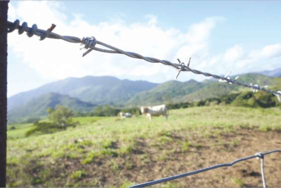 Des barbelés contre les maladies