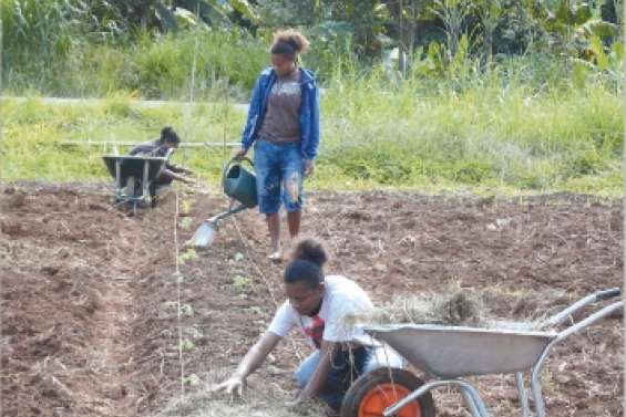 Une ferme pilote au lycée