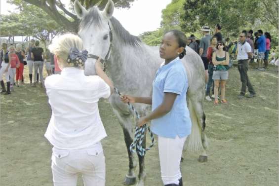 Une passion qui déplace