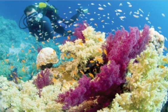 Conserver ou développer