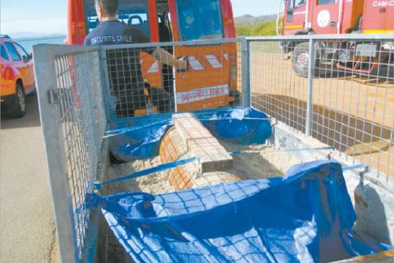Une drôle de bouteille à la mer