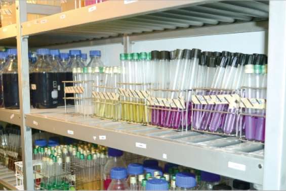 Débat sur la qualité du bœuf