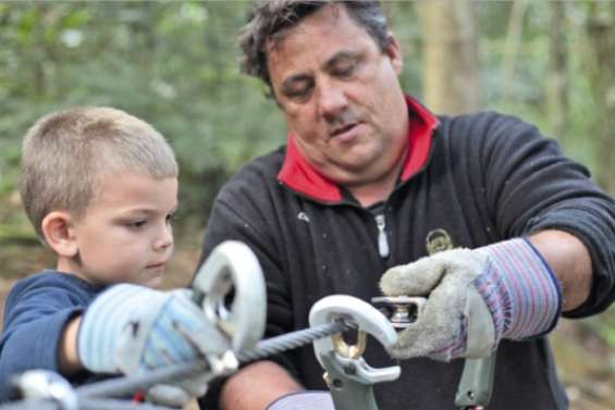 En sécurité dans les arbres