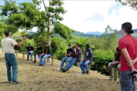 Comment recenser les cagous