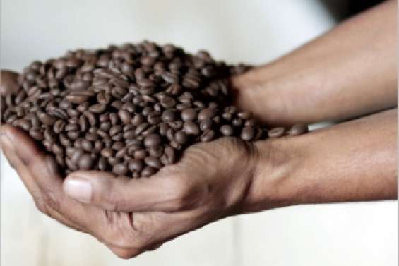 Le café Lola boit la tasse