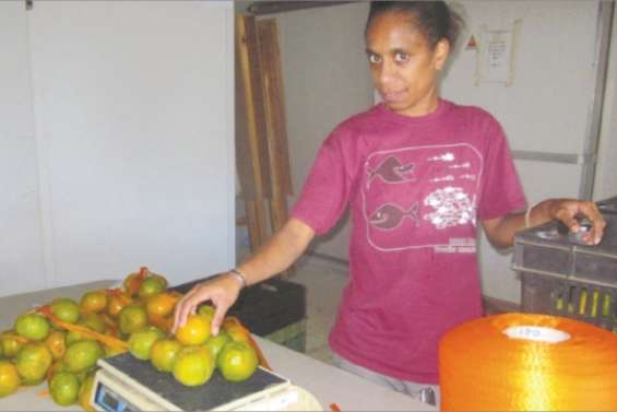 Waké Chaa récolte ses fruits