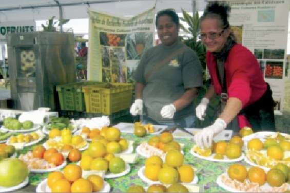 Des fruits comme s'il en pleuvait