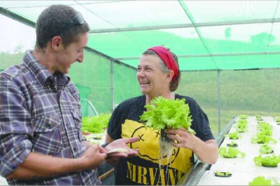 Salades élevées au poisson