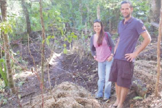 « Colibris » déploie ses ailes