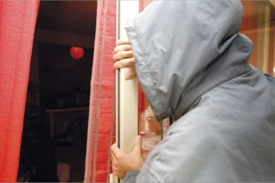 Dans la jungle des assurances