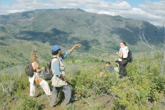 Ouaté voit la vie en vert