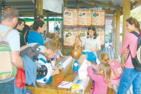 Un parc grand ouvert