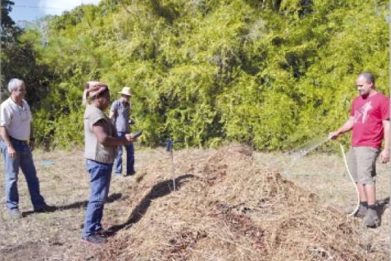 Le compostage, tout un art