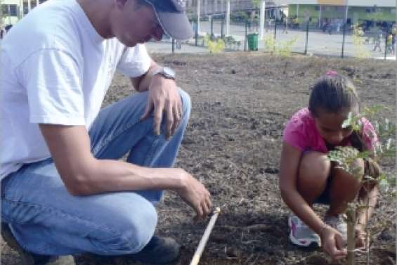 Une forêt sèche à l'école