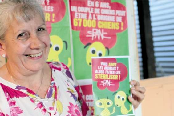 Halte à la misère animale !