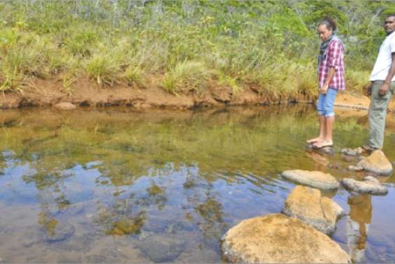 Le débat sur l'usine renaît