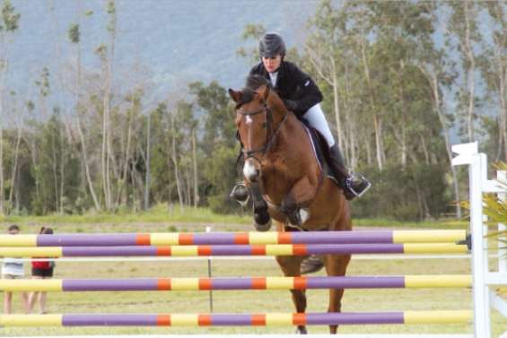 Amandine Vérons fait son show