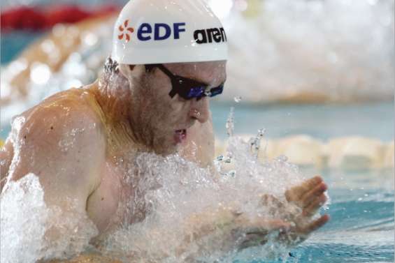 Dahlia fait le plein de confiance