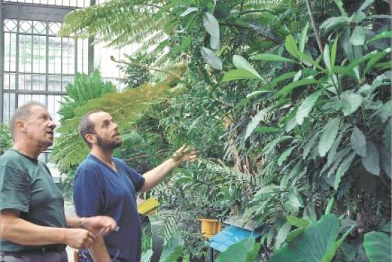 La Calédonie au cœur de Paris