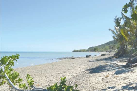 Des perles comme à Tahiti