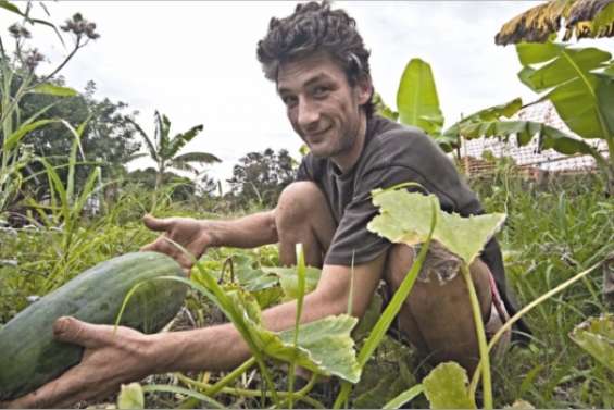 Dans le sillon des bio-cultivateurs